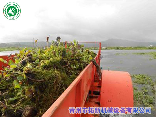 水葫芦打捞船